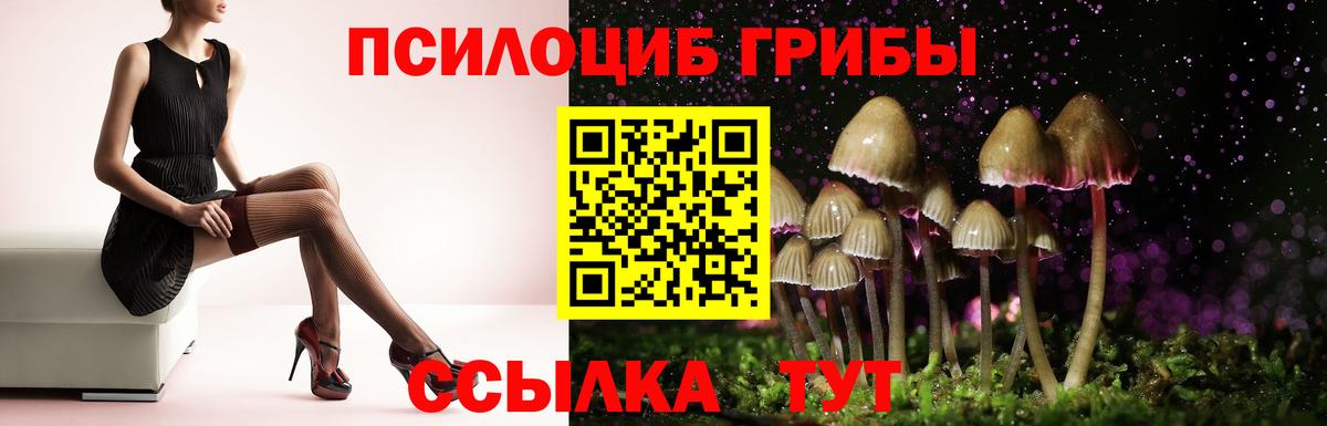 Галлюциногенные грибы мицелий  Галлюциногенные грибы Magic Shrooms  Вход с VPN  Ялта 